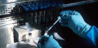 Que sont les NGT, les nouveaux OGM ? Que sont les NGT, les nouveaux OGM ?