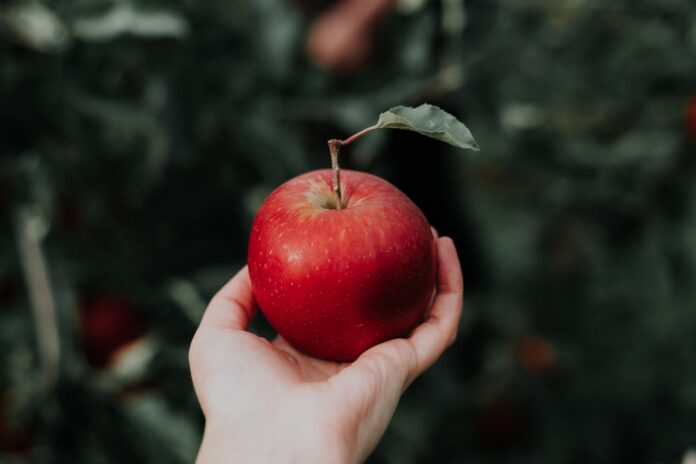 Sommeil : quel est l'impact des pommes ?