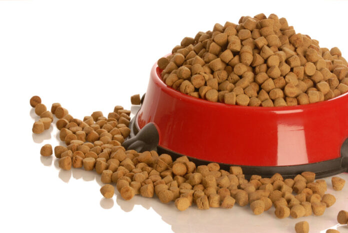 bowl of dog kibble overflowing in dog dish isolated on white background