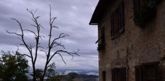 Pourquoi et comment traiter le salpêtre dans votre maison ? Pourquoi et comment traiter le salpêtre dans votre maison ?