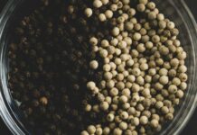 Quel poivre utiliser ? Quel poivre utiliser ?