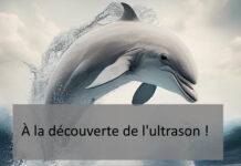 À la découverte de l’ultrason ! 9d04668b6d54933fbbc106993d118c85_html_d89095138a8dc48