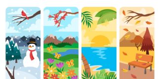 Les meilleurs destinations à visiter selon les saisons Les meilleurs destinations à visiter selon les saisons