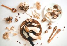 Comment bien cuisiner les champignons ? Comment bien cuisiner les champignons ?