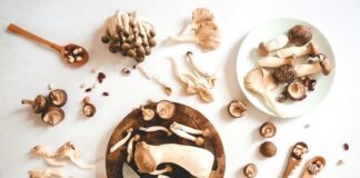 Comment bien cuisiner les champignons ? Comment bien cuisiner les champignons ?