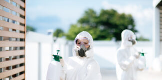 Comment se débarrasser des araignées dans une maison ? d40af34c2f91fb40151e6c5db35c3fe2