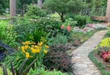 Quel matériau utiliser pour son chemin de jardin ? Quel matériau utiliser pour son chemin de jardin ?