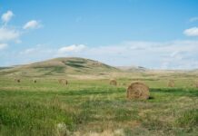 Quelles différences entre terrain en lotissement et terrain isolé ? Quelles différences entre terrain en lotissement et terrain isolé ?