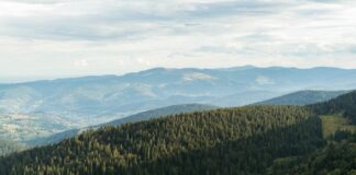 Les Hautes-Vosges gourmandes Les Hautes-Vosges gourmandes
