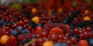 Quels sont les fruits les moins sucrés ? Quels sont les fruits les moins sucrés ?
