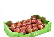 Production de la Pomme Française Production de la Pomme Française