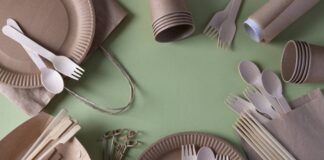 Pourquoi opter pour de la vaisselle jetable pour vos événements ? Pourquoi opter pour de la vaisselle jetable pour vos événements ?