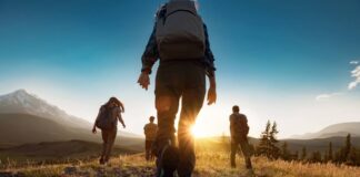 Les essentiels du surplus militaire : équipements et accessoires à adopter Les essentiels du surplus militaire : équipements et accessoires à adopter