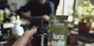 Le marché des produits anti-THC : Ce qu’il faut savoir 712e1e5e4cb80947747196f5d5a5d392
