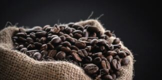 Pourquoi le café en grain fait son grand retour dans nos cuisines Pourquoi le café en grain fait son grand retour dans nos cuisines