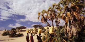 Le rôle de la tribu dans la société contemporaine saoudienne istockphoto 614109258 612x612