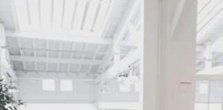 Plongée au cœur de l’actualité francophone Plongée au cœur de l'actualité francophone