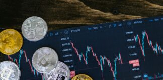 Investir dans les cryptos : par où commencer sans se brûler les ailes ? Investir dans les cryptos : par où commencer sans se brûler les ailes ?