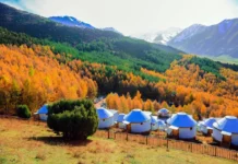 Voyager au Kirghizistan : montagnes, yourtes et histoires chaleureuses Kirghizistan