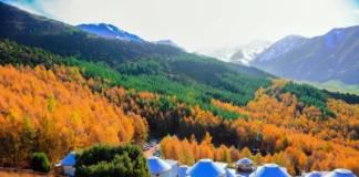 Voyager au Kirghizistan : montagnes, yourtes et histoires chaleureuses Kirghizistan