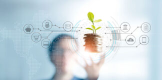 Comment choisir entre spot, contrats à terme et CFD pour s’exposer aux matières premières Businessman holding a tree sprout growing on coins, abstract gro