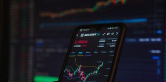 Freedom Holding : l’écosystème financier bâti par Turlov Freedom Holding : l’écosystème financier bâti par Turlov