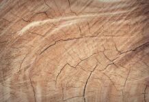 Aménager sa maison avec du bois de récupération : conseils et inspirations Aménager sa maison avec du bois de récupération : conseils et inspirations