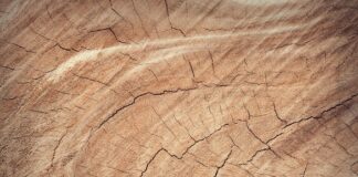 Aménager sa maison avec du bois de récupération : conseils et inspirations Aménager sa maison avec du bois de récupération : conseils et inspirations