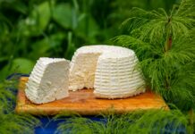 Comment le fromage blanc est-il fabriqué ? Découvrez les étapes de fabrication du fromage blanc. De la fermentation au lissage, explorez les secrets de ce produit laitier frais.