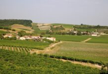 Découvrir Cognac et les alentours Découvrez Cognac et ses alentours : immersion entre grandes maisons de négoce, patrimoine historique et balades au fil de la Charente. Un voyage d'exception.
