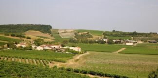 Découvrir Cognac et les alentours Découvrez Cognac et ses alentours : immersion entre grandes maisons de négoce, patrimoine historique et balades au fil de la Charente. Un voyage d'exception.