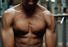 Muscles : les protéines végétales sont-elles efficaces ? Découvrez si les protéines végétales sont efficaces pour la musculation. Analyse scientifique, profils d'acides aminés et conseils pour optimiser vos gains.