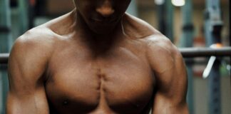 Muscles : les protéines végétales sont-elles efficaces ? Découvrez si les protéines végétales sont efficaces pour la musculation. Analyse scientifique, profils d'acides aminés et conseils pour optimiser vos gains.