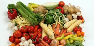 Le régime végétarien est-il dangereux pour la santé ? Le régime végétarien est-il dangereux pour la santé ?